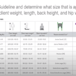 Toileting sling Video Cover Image